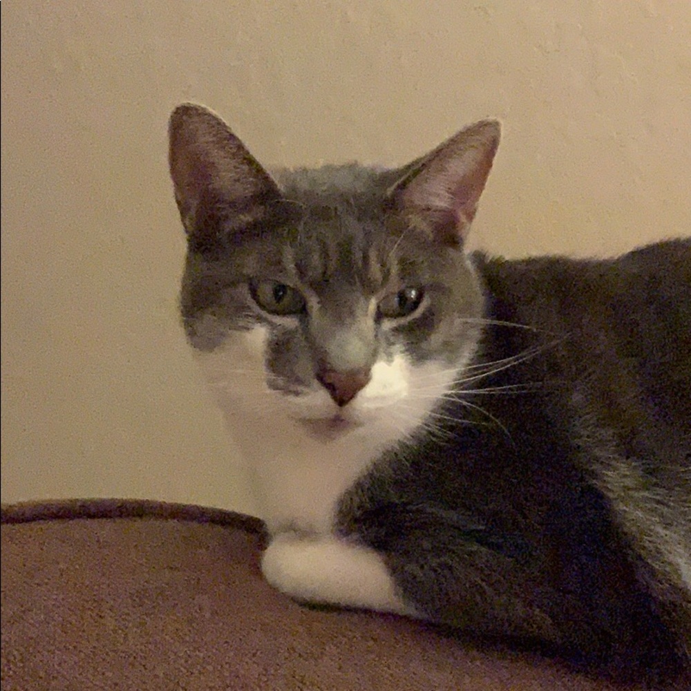 Meet your Posher, Victoria